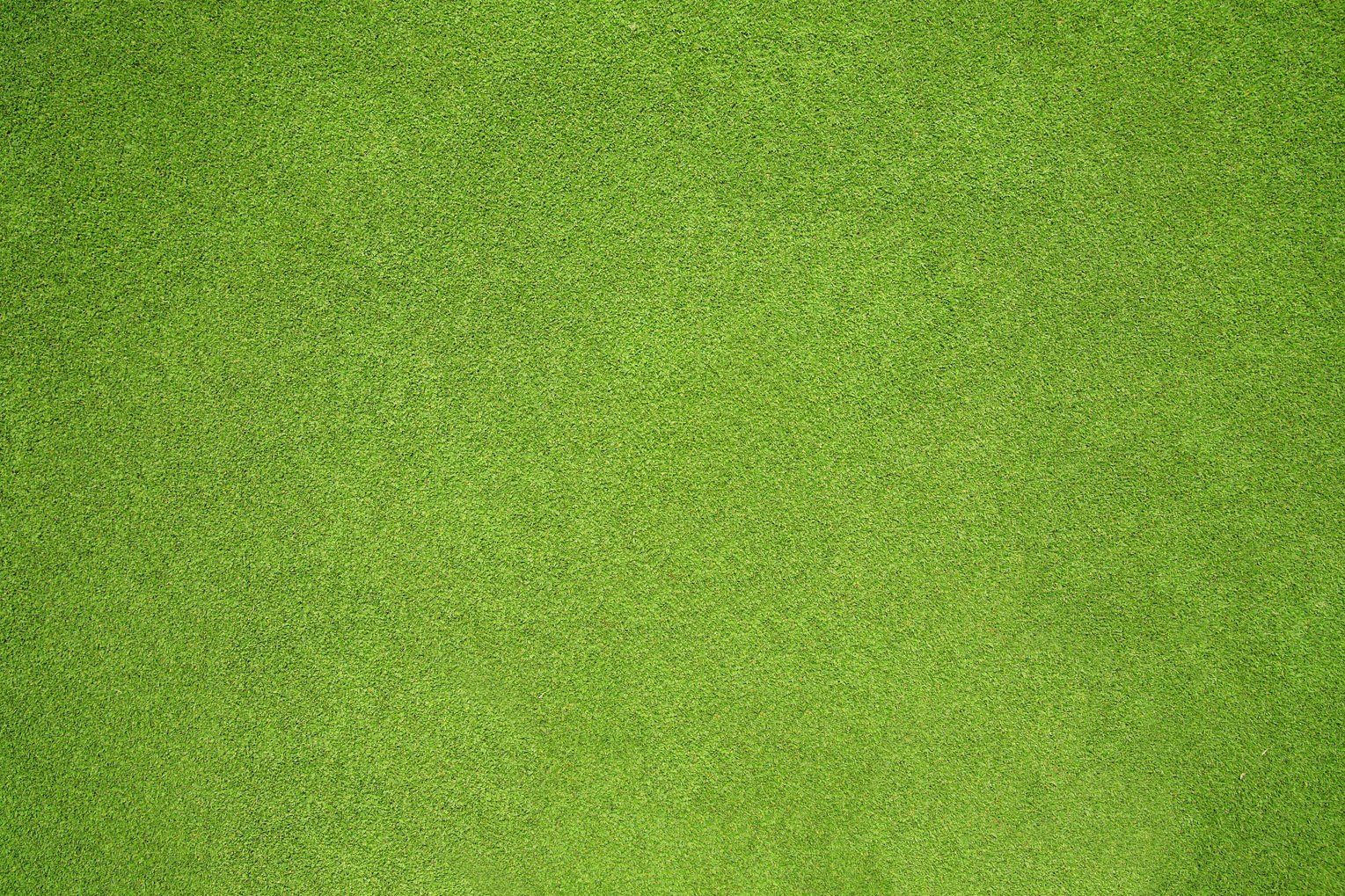 TifTuf Turf — Currumbin QLD — Currumbin Garden Supplies TifTuf Turf — Currumbin QLD — Currumbin Garden Supplies