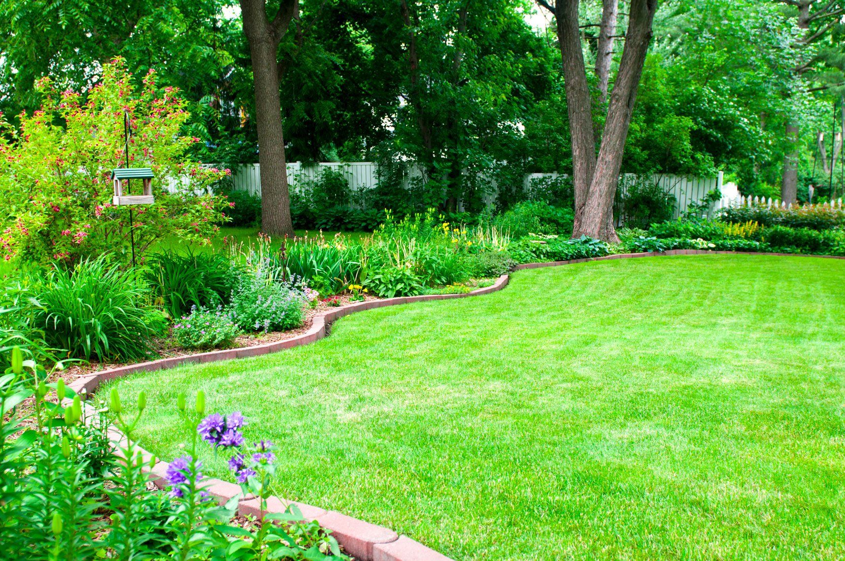 New Landscaping — Currumbin QLD — Currumbin Garden Supplies