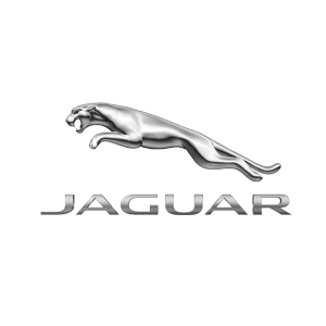 Silver Jaguar logo featuring a leaping jaguar above the brand name in a metallic, stylized font on a white background.