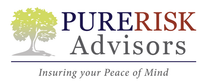 Pure Risk Advisors logo