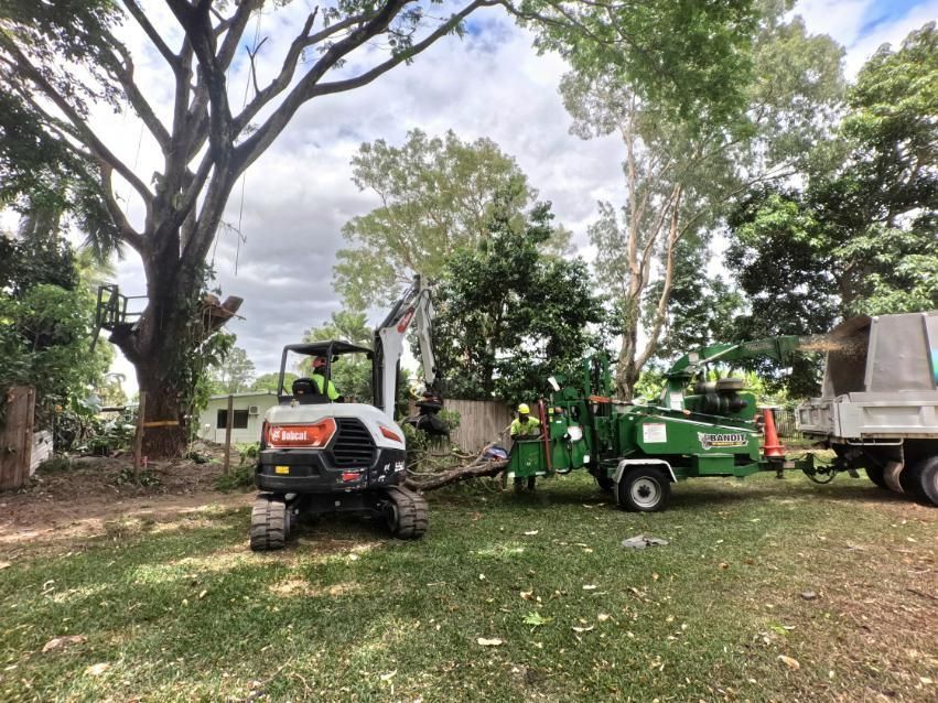 A Small Excavator Is Parked Next to A Tree Chipper in A Yard — Advanced Vegetation Management in Palm Cove, QLD