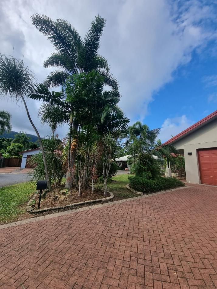 A Brick Driveway Leading to A House with A Palm Tree in The Middle — Advanced Vegetation Management in Machans Beach, QLD