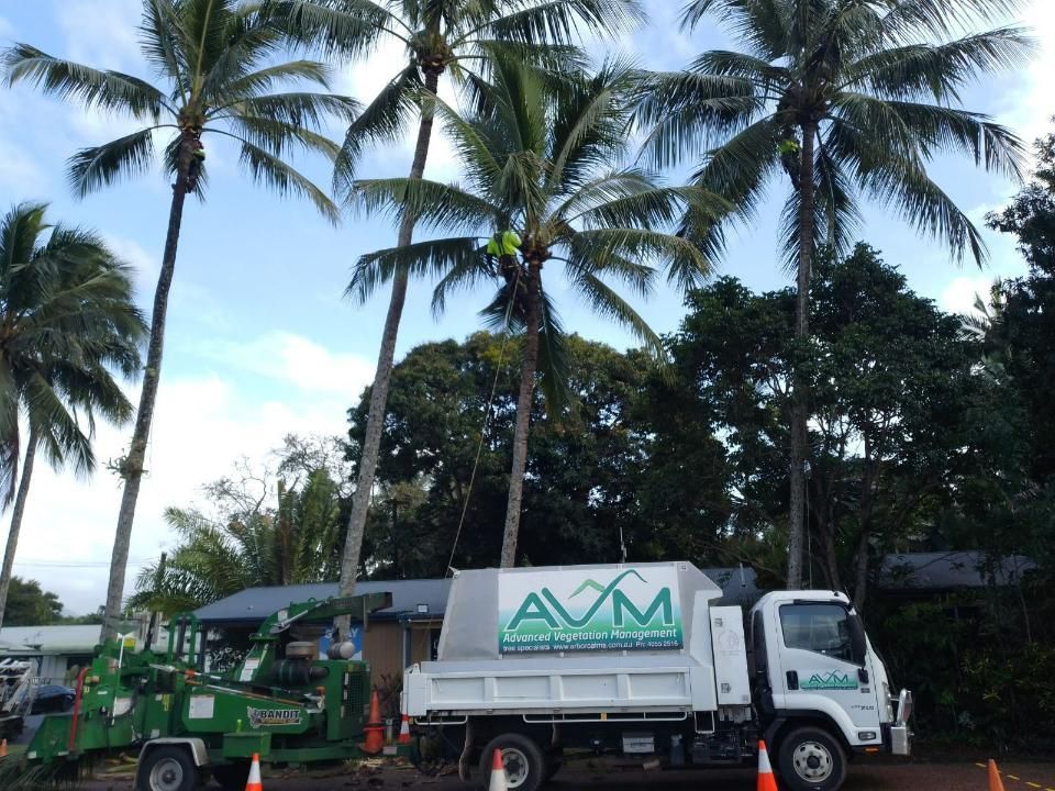 A White Truck with The Word AVM on It — Advanced Vegetation Management in Stratford, QLD