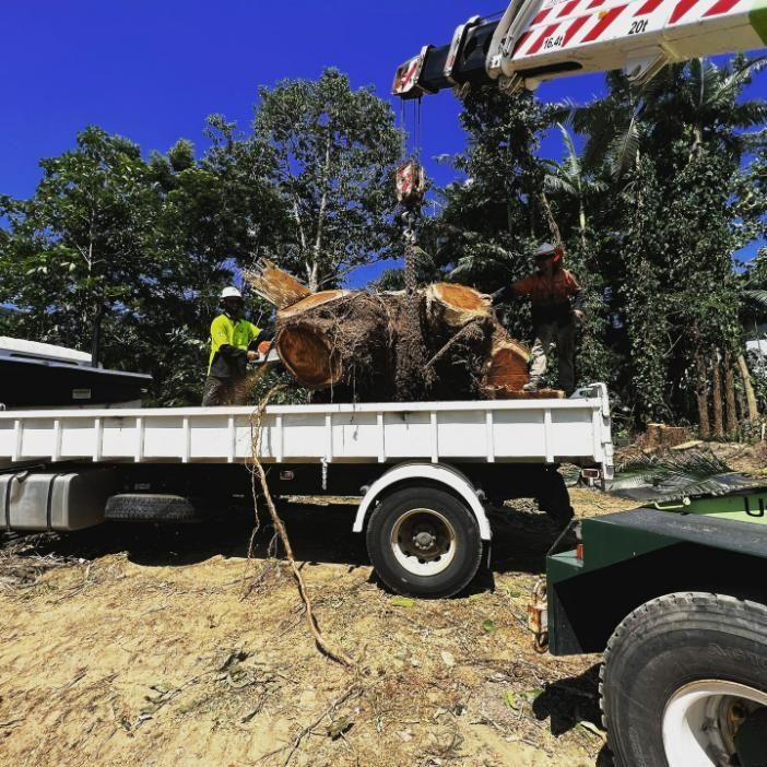 A Large Tree Stump Is Being Lifted by A Crane on The Back of A Truck — Advanced Vegetation Management in Mooroobool, QLD