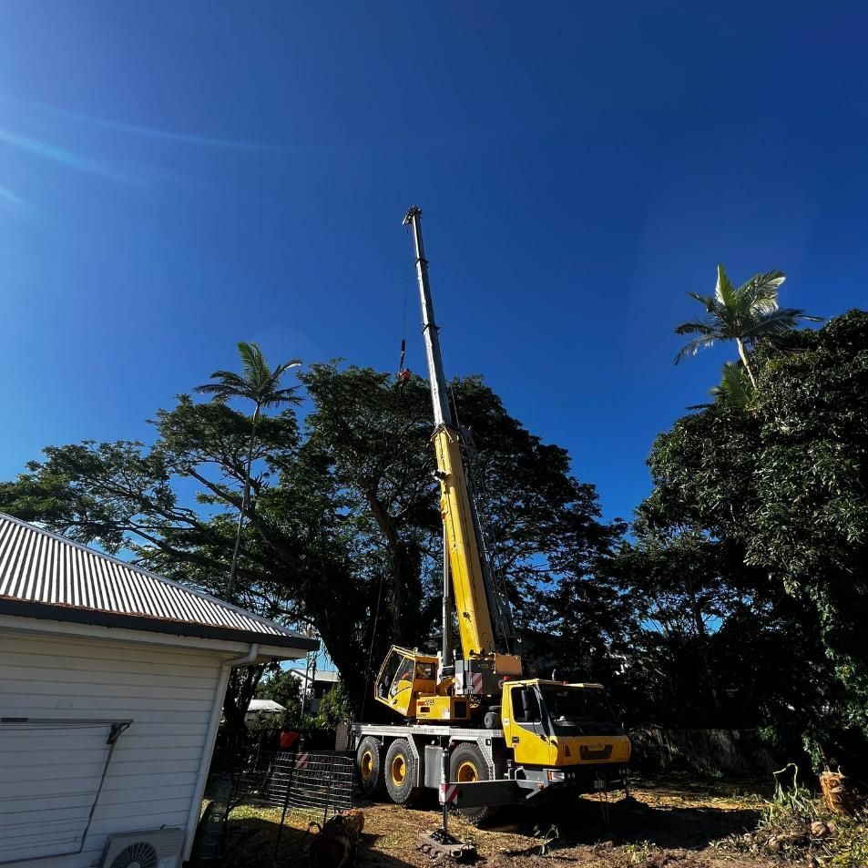 A Yellow Crane Is Lifting a Tree in Front of A House — Advanced Vegetation Management in Tablelands, QLD