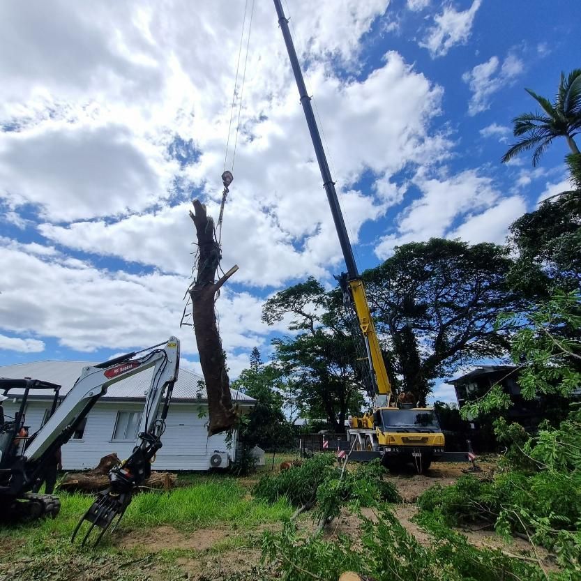 A Crane Is Lifting a Tree in Front of A House — Advanced Vegetation Management in Manunda, QLD