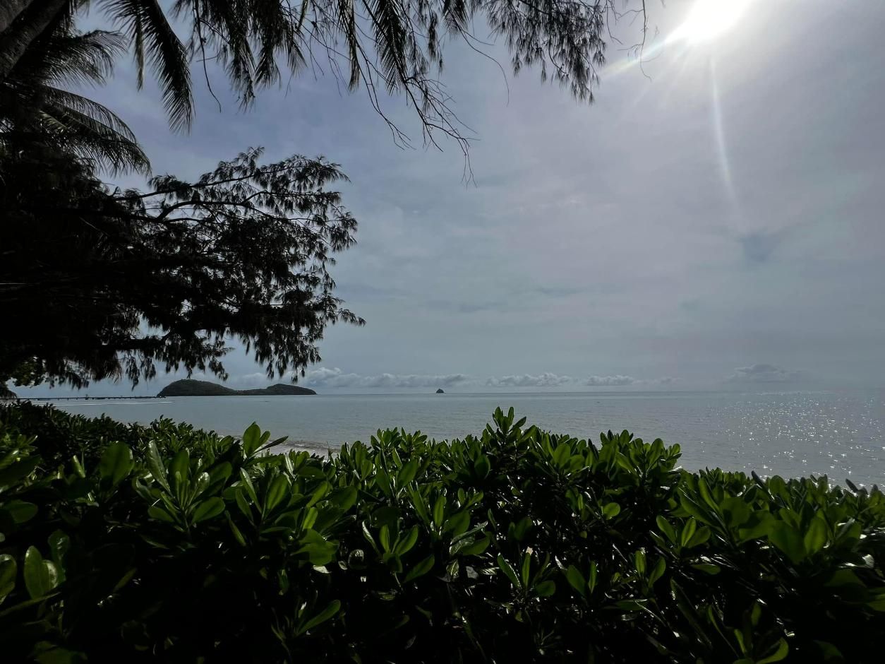The Sun Is Shining Through the Trees Over the Ocean — Advanced Vegetation Management in Manoora, QLD