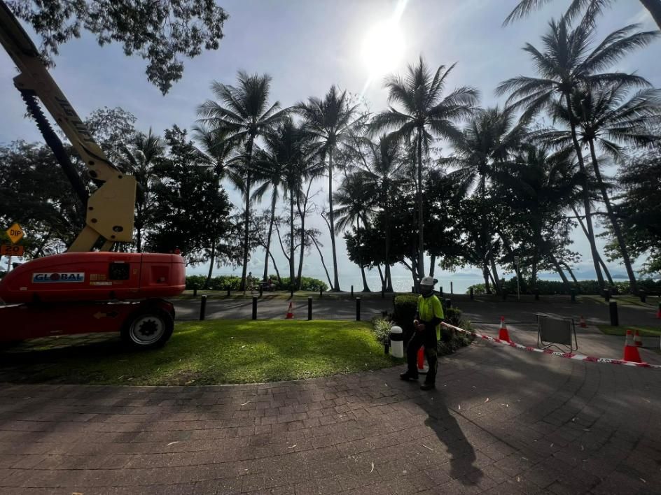 A Red Crane Is Parked in Front of Palm Trees — Advanced Vegetation Management in Innisfail, QLD