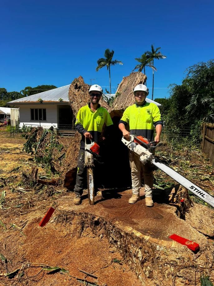 Two Men Are Standing Next to A Tree Stump Holding Chainsaws — Advanced Vegetation Management in Stratford, QLD