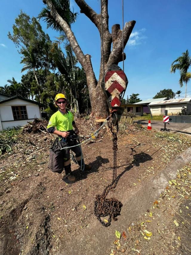 A Man Is Standing Next to A Chain Attached to A Tree — Advanced Vegetation Management in Holloway's Beach, QLD