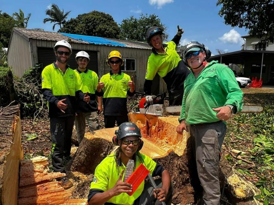 A Group of People Are Standing Around a Tree Stump — Advanced Vegetation Management in Ellis Beach, QLD