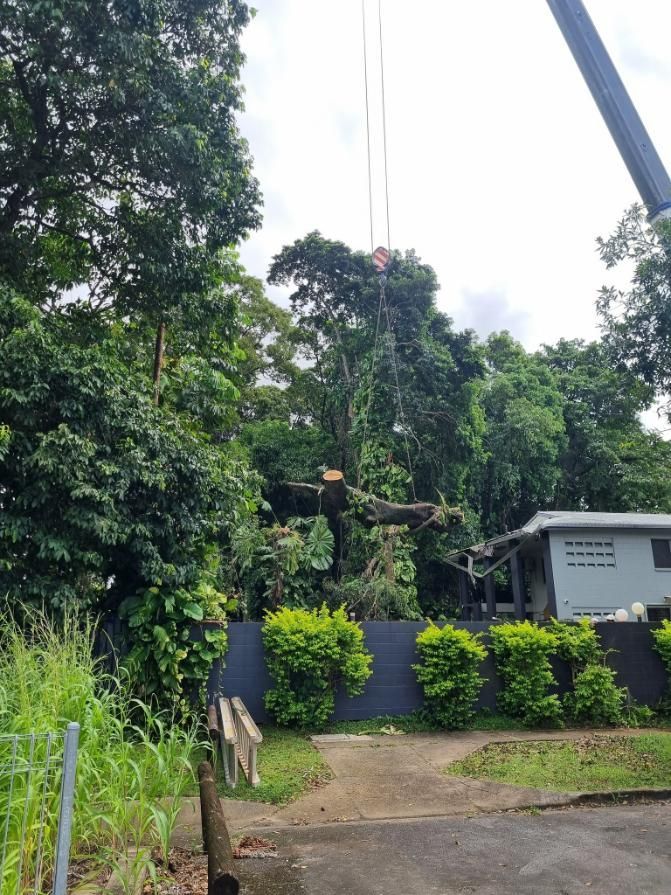 A Crane Is Lifting a Tree in Front of A House — Advanced Vegetation Management in Smithfield, QLD