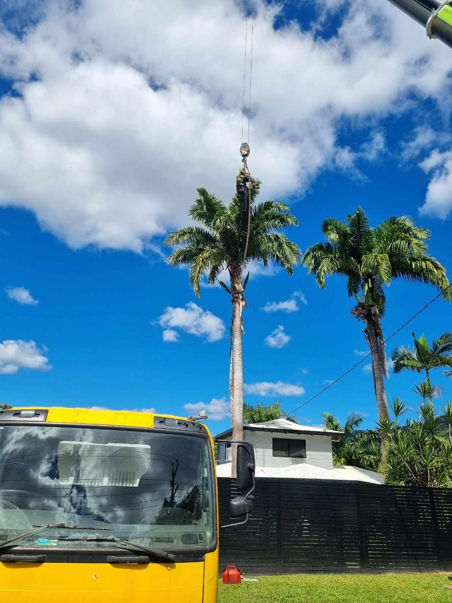 A Yellow Truck Is Parked in Front of A Palm Tree — Advanced Vegetation Management in Mount Sheridan, QLD