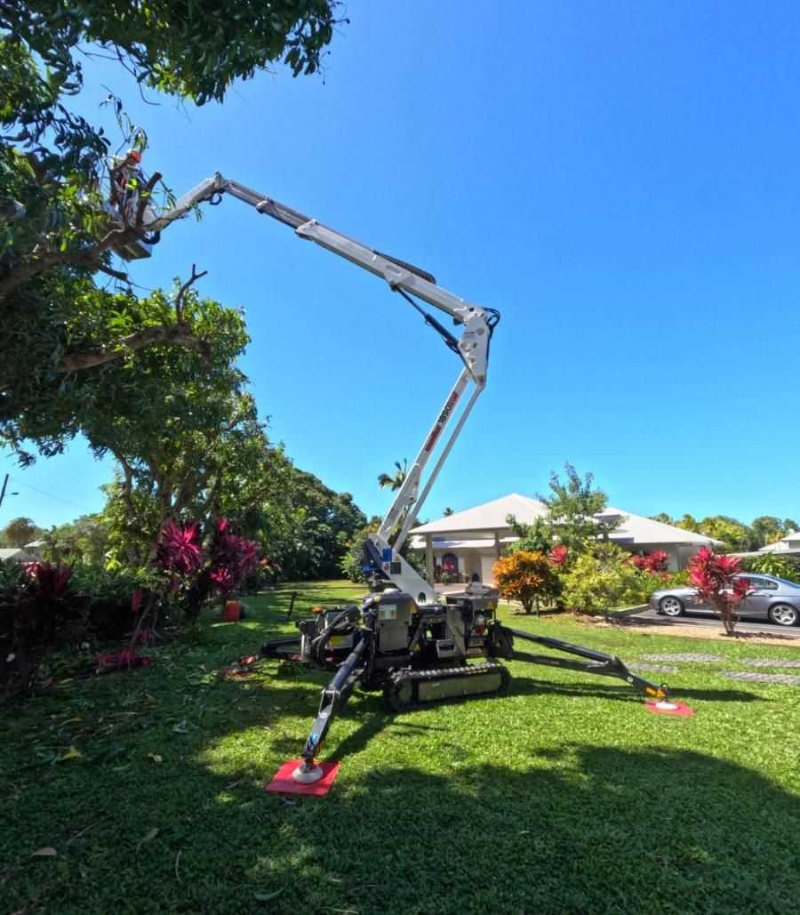 A Crane Is Sitting in The Grass in Front of A House — Advanced Vegetation Management in Palm Cove, QLD