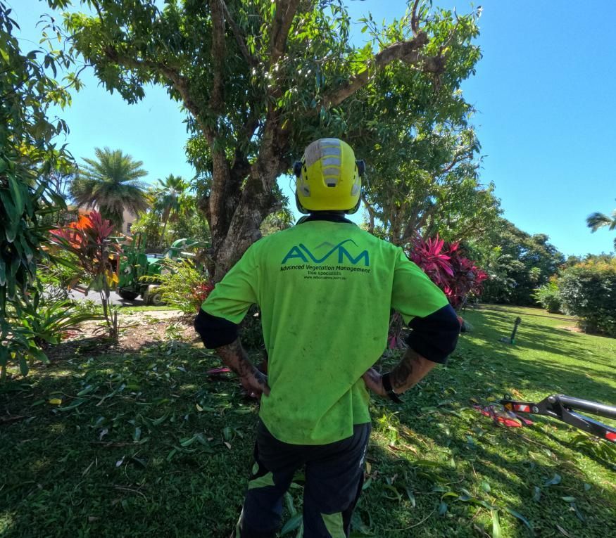 A Man Wearing a Green Shirt with The Word AVM on It — Advanced Vegetation Management in Bungalow, QLD