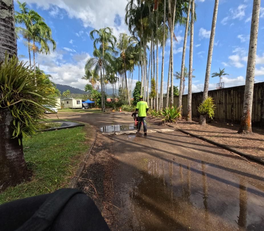 A Man Walking Down a Dirt Road Surrounded by Palm Trees — Advanced Vegetation Management in Parramatta Park, QLD