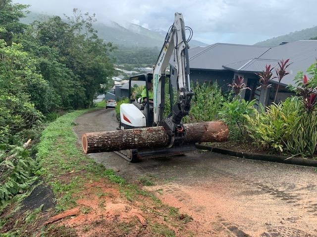 A Small Excavator Is Carrying a Large Log Down a Dirt Road — Advanced Vegetation Management in Mount Sheridan, QLD
