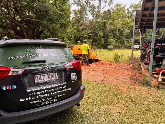 A Man Is Standing in A Grassy Field Looking at A Tree — Advanced Vegetation Management in Stratford, QLD