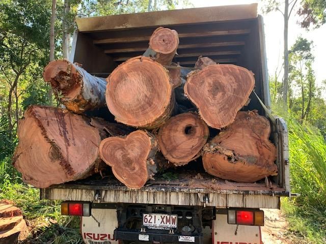 A Truck Filled with Logs Is Parked in The Woods — Advanced Vegetation Management in Machans Beach, QLD