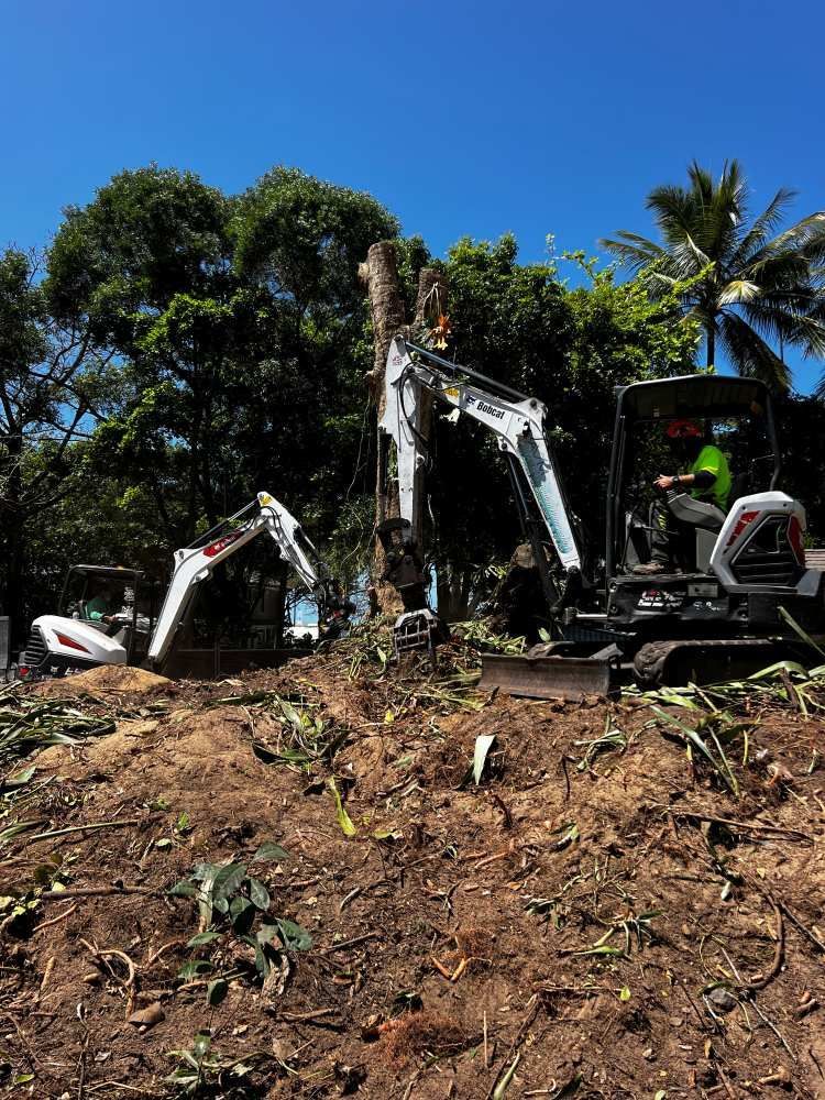 A Man is Driving an Excavator in a Dirt Field — Advanced Vegetation Management in Manunda, QLD