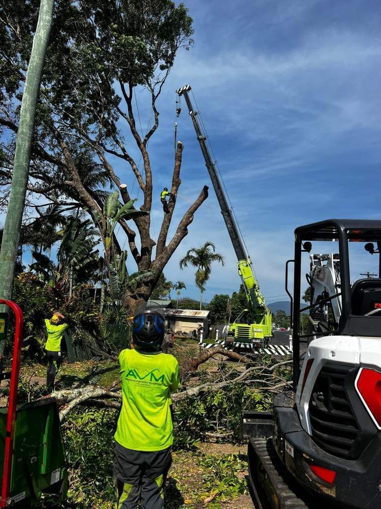 A Man in a Yellow Shirt is Standing in Front of a Crane Cutting a Tree — Advanced Vegetation Management in Stratford, QLD