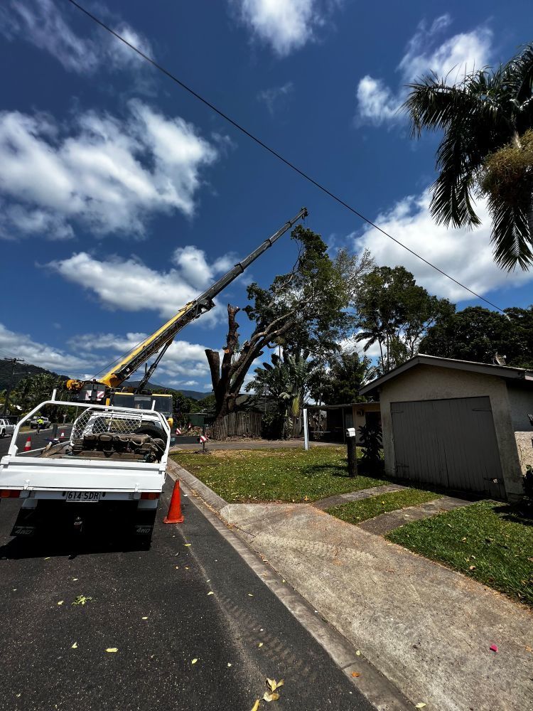 A Truck is Parked on the Side of the Road Next to a Crane Cutting a Tree — Advanced Vegetation Management in Bentley Park, QLD