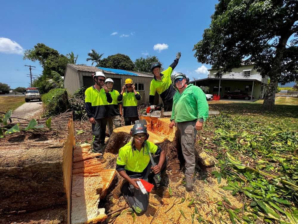 A Group of Men Are Standing Around a Tree Stump — Advanced Vegetation Management in Stratford, QLD