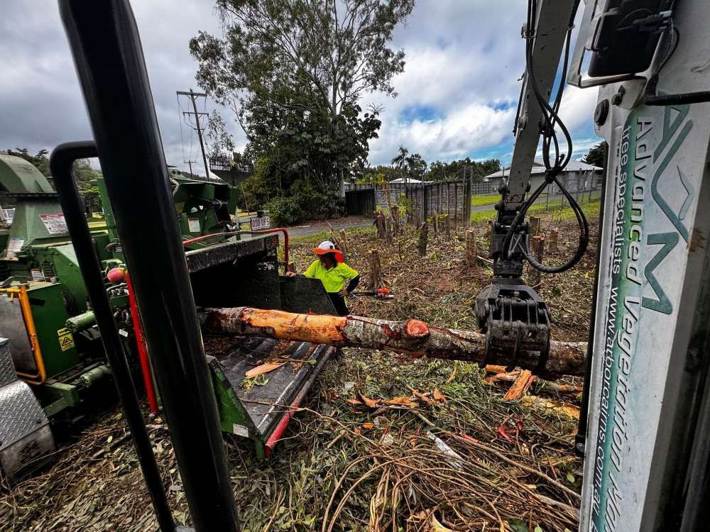 A Man is Cutting a Tree With a Machine in a Field — Advanced Vegetation Management in Stratford, QLD