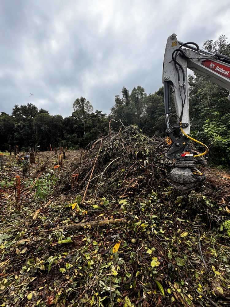 A Bulldozer is Moving a Pile of Branches and Leaves in a Field — Advanced Vegetation Management in Edmonton, QLD
