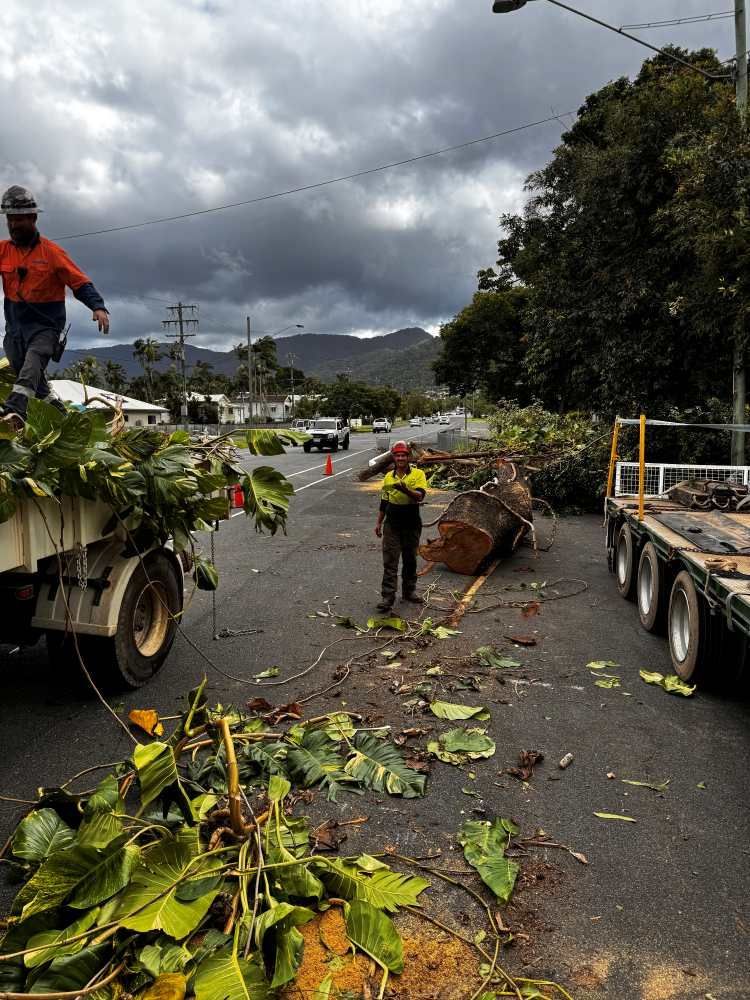 A Man is Standing Next to a Truck Loaded With Leaves and Branches โ Advanced Vegetation Management in Stratford, QLD