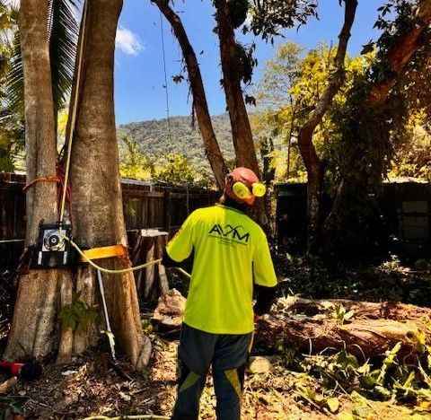A Man Wearing a Yellow Shirt that Says AVM on The Back — Advanced Vegetation Management in Stratford, QLD