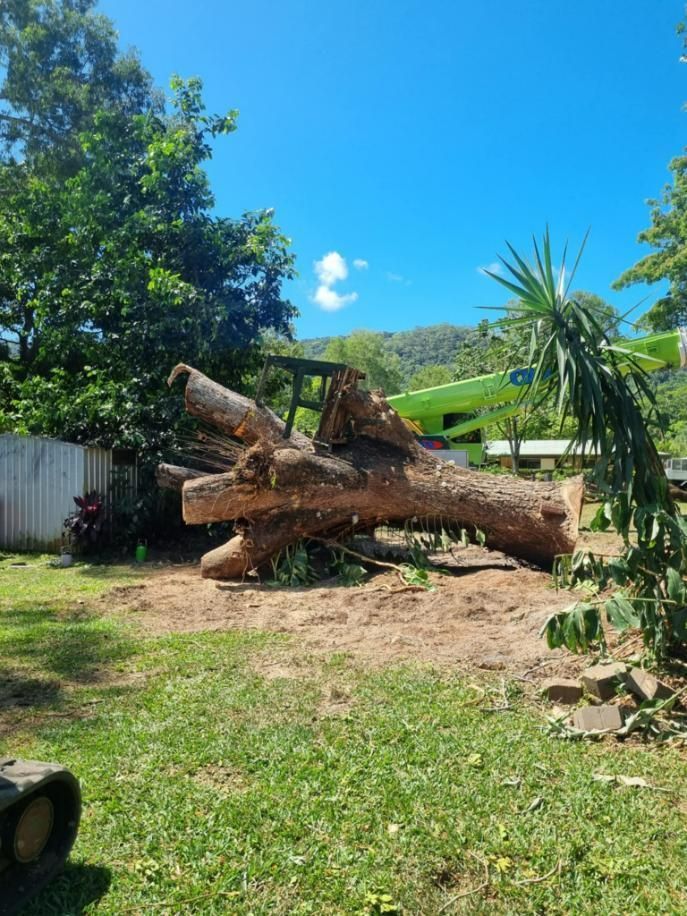 A Large Log Is Sitting in The Middle of A Grassy Field — Advanced Vegetation Management in Bentley Park, QLD
