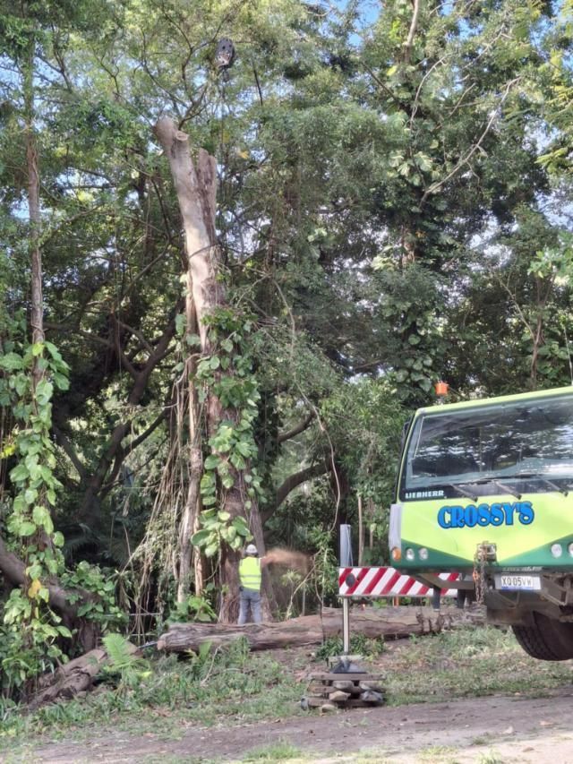 A Truck Parked Amidst Lush Greenery in A  Forest — Advanced Vegetation Management in Tablelands, QLD