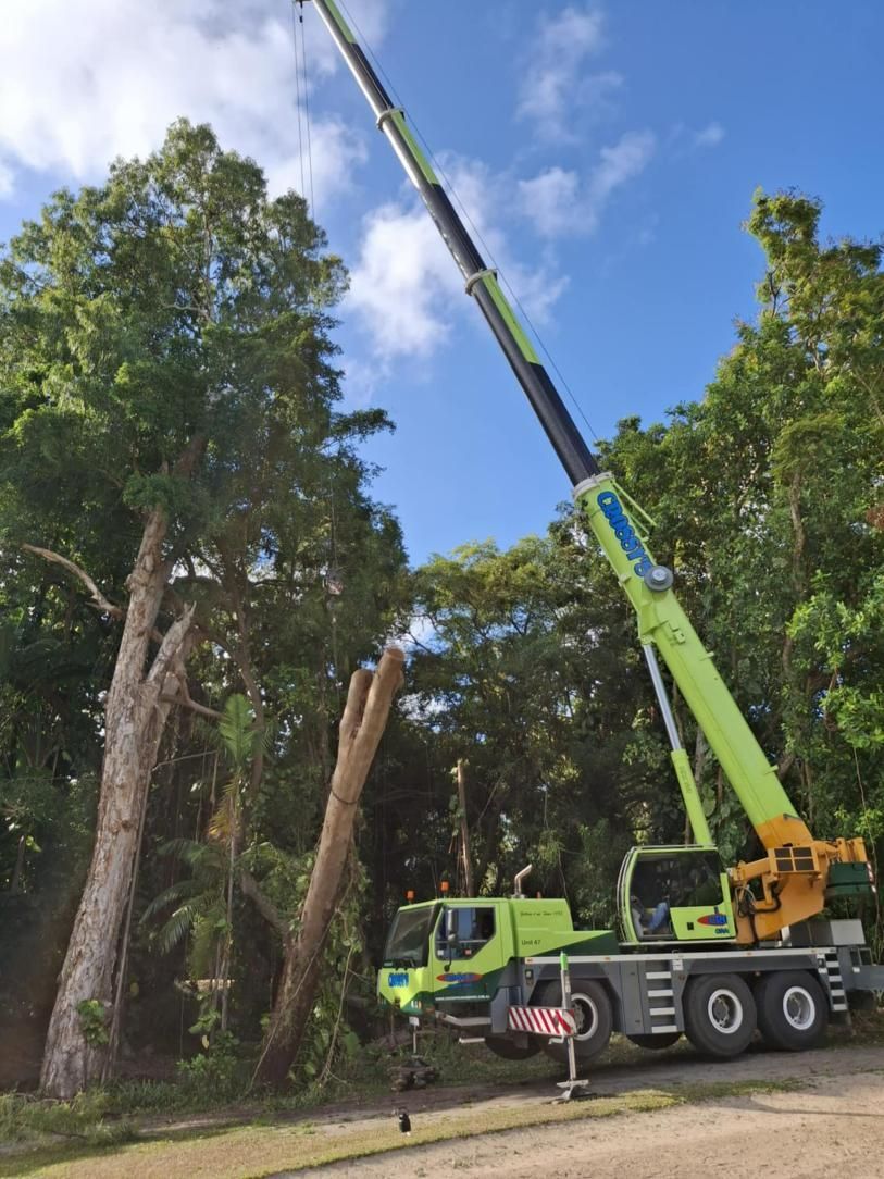 A Large Green Crane Is Lifting a Tree in The Woods — Advanced Vegetation Management in Port Douglas, QLD