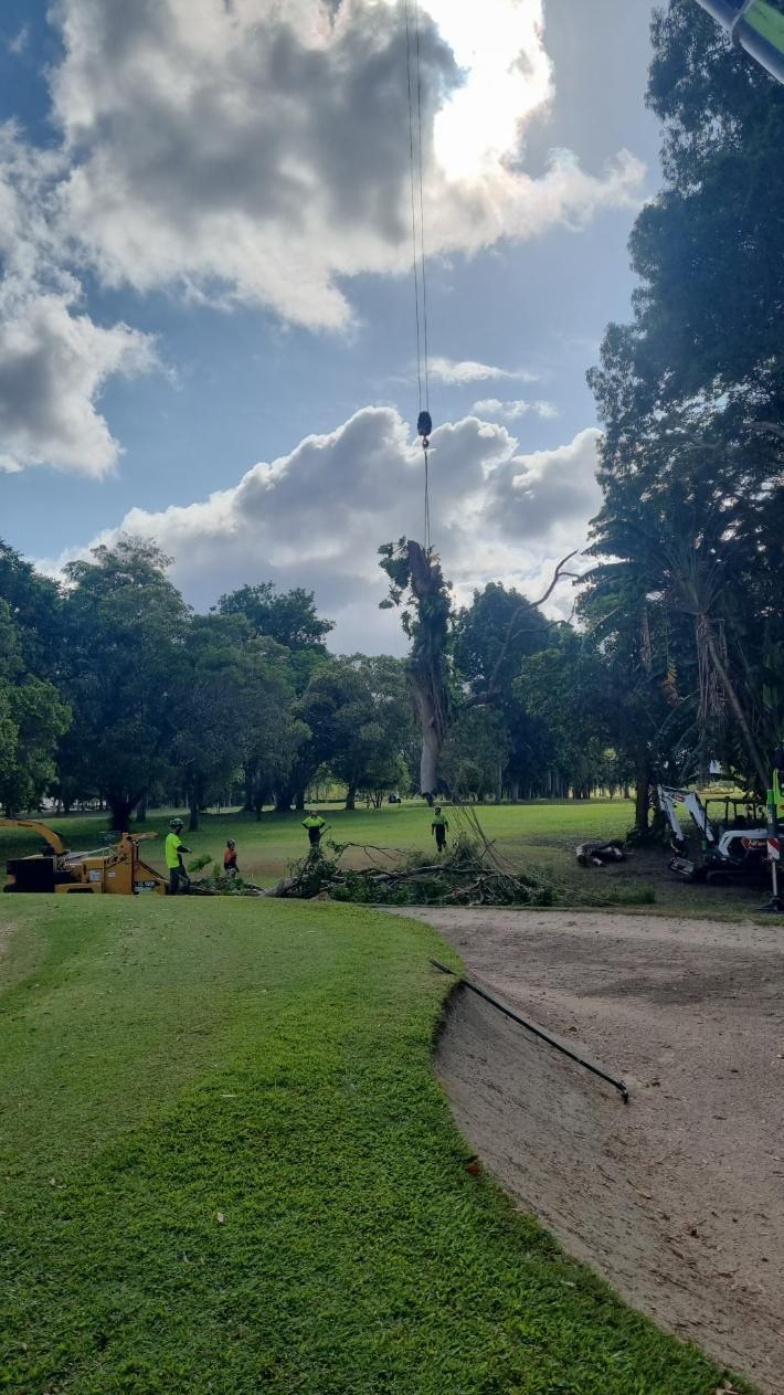 A Tree Is Being Cut Down in A Park with A Crane — Advanced Vegetation Management in Cairns City, QLD