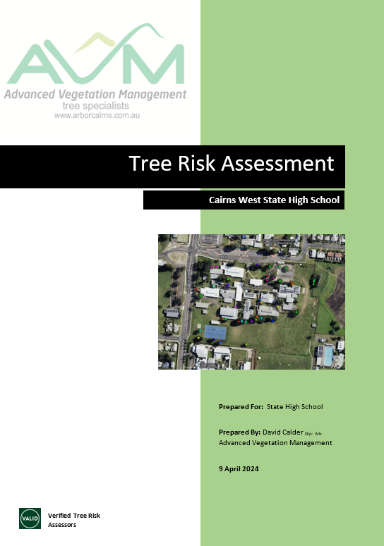 A Large Tree is Being Cut Down by a Crane in a Yard — Advanced Vegetation Management in Stratford, QLD