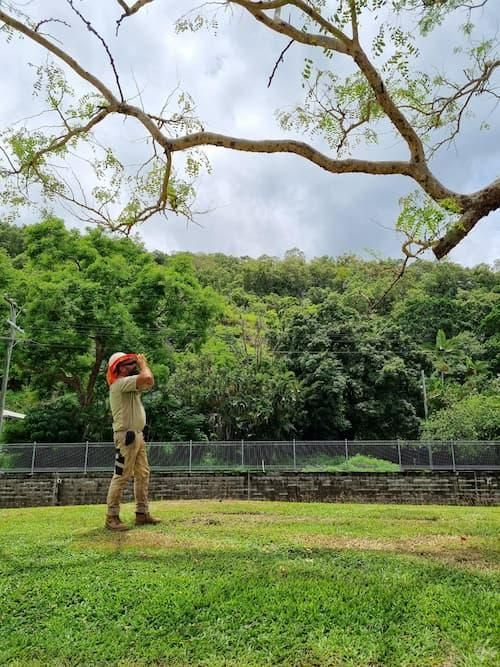 A Man Is Standing in A Grassy Field with Trees in The Background — Advanced Vegetation Management in Stratford, QLD