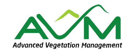 Industry-Leading Arborist in Cairns