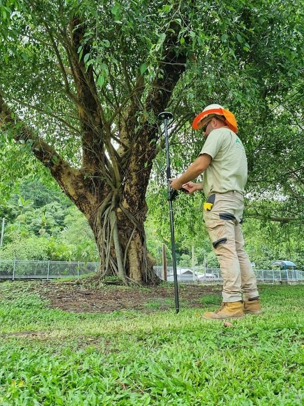 A Man Is Standing in The Grass Next to A Tree — Advanced Vegetation Management in Stratford, QLD