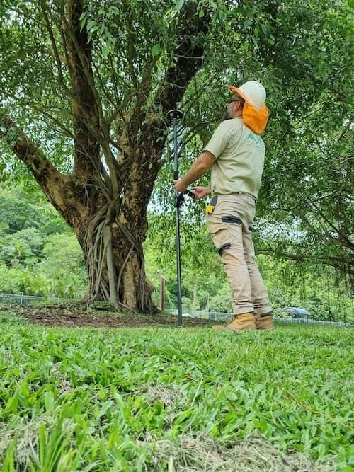 A Man Is Standing in The Grass Next to A Tree Holding a Metal Detector — Advanced Vegetation Management in Stratford, QLD