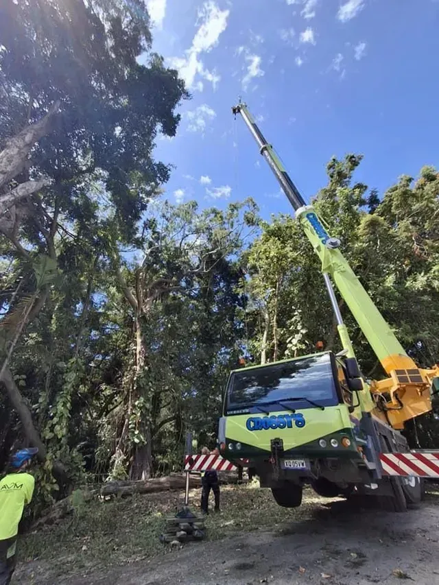 A Crane Is Sitting on Top of A Truck Next to A Tree — Advanced Vegetation Management in Stratford, QLD