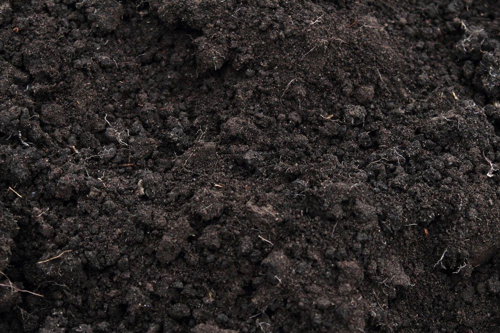 Decomposed Black Soil Prepared for Plantation — Dubbo Soils & Landscaping Supplies in Dubbo, NSW