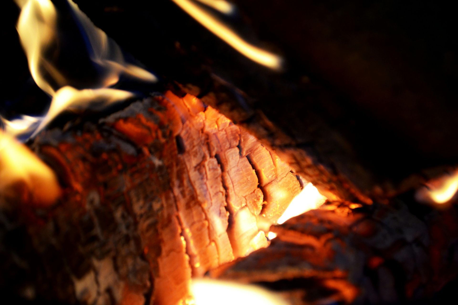 Firewood Prepared for the Winter — Dubbo Soils & Landscaping Supplies in Dubbo, NSW
