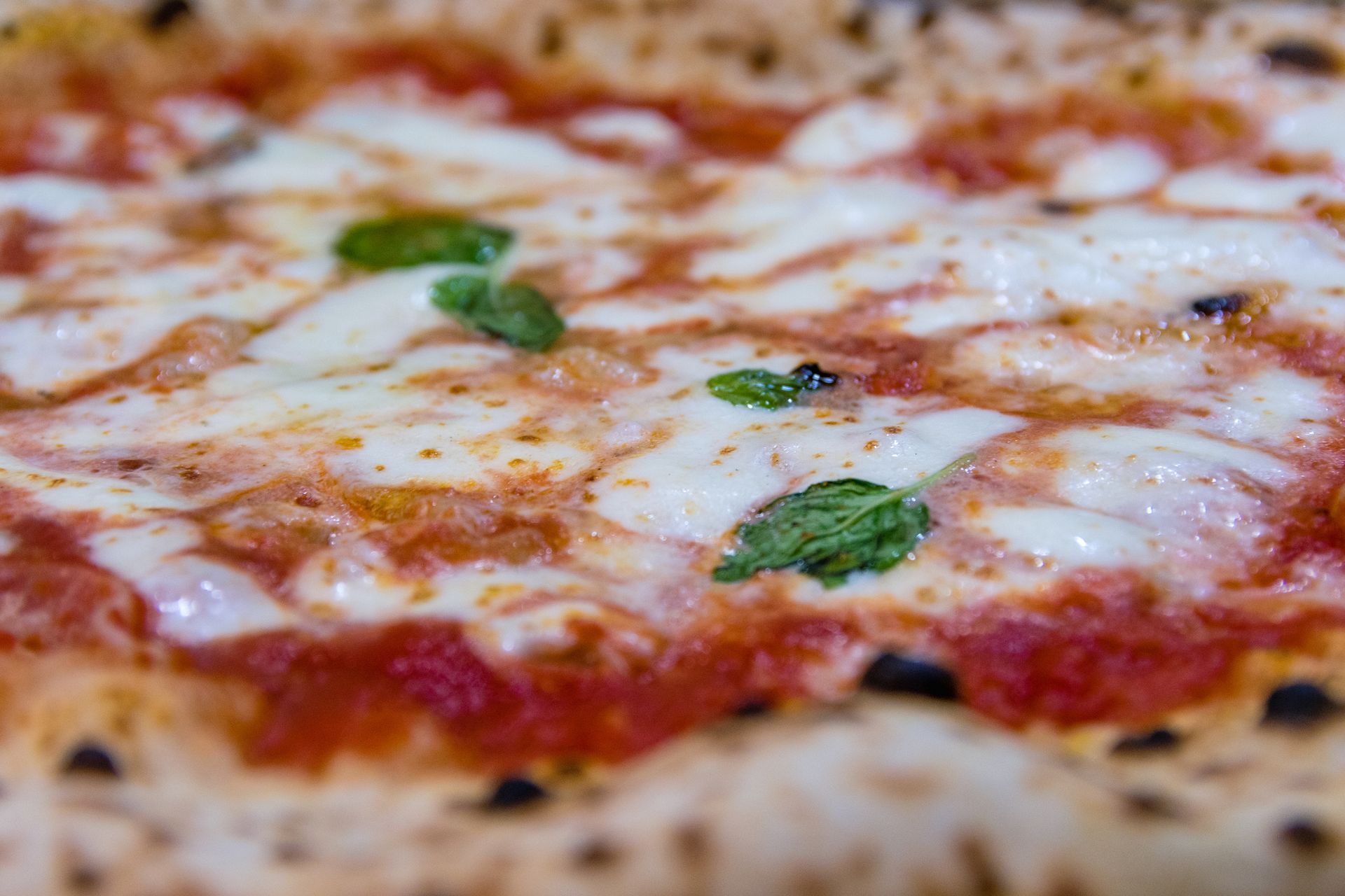 pizza margherita