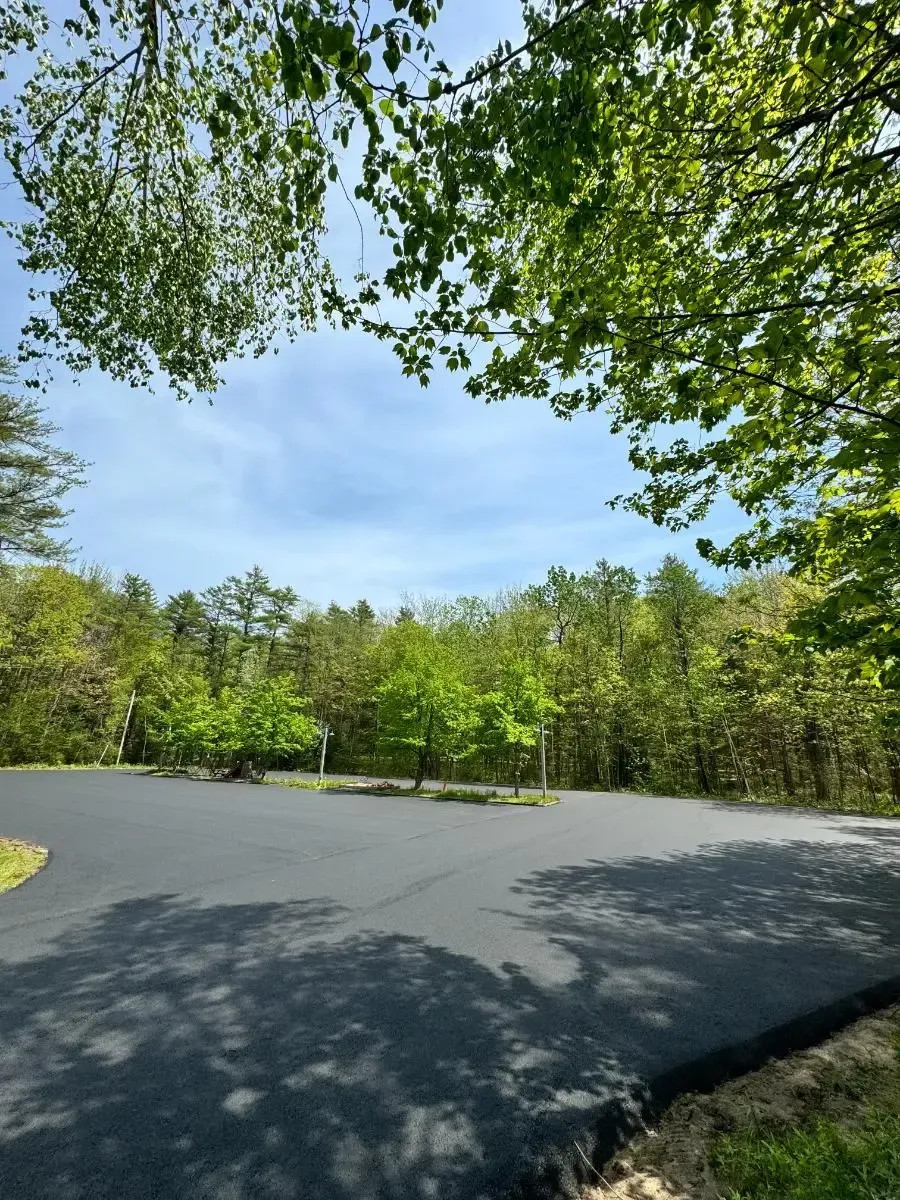 Paved road curves into a wooded area with blue sky peeking through the trees.