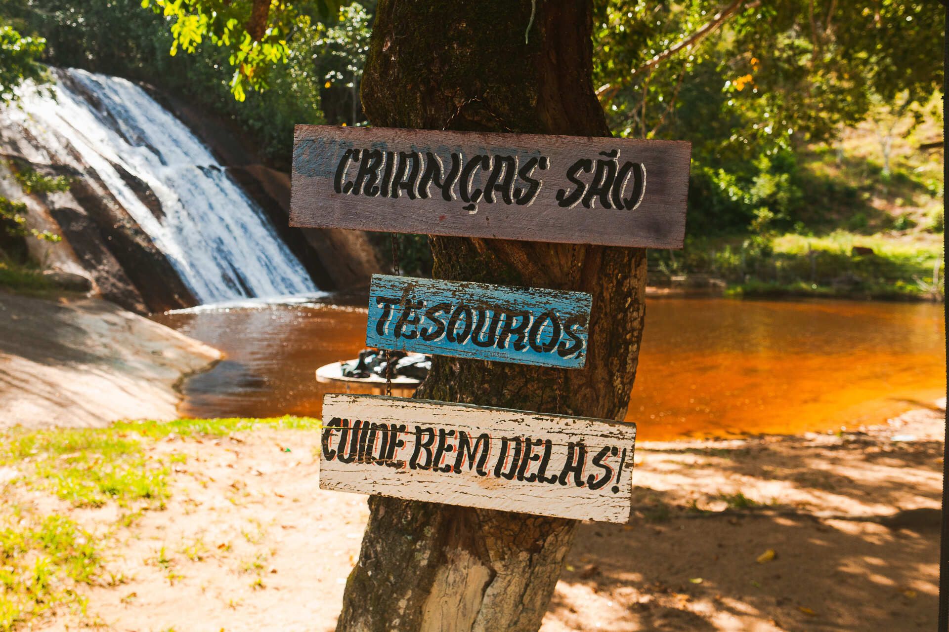Uma árvore com uma placa que diz criancas são tesouros, cuide bem delas
