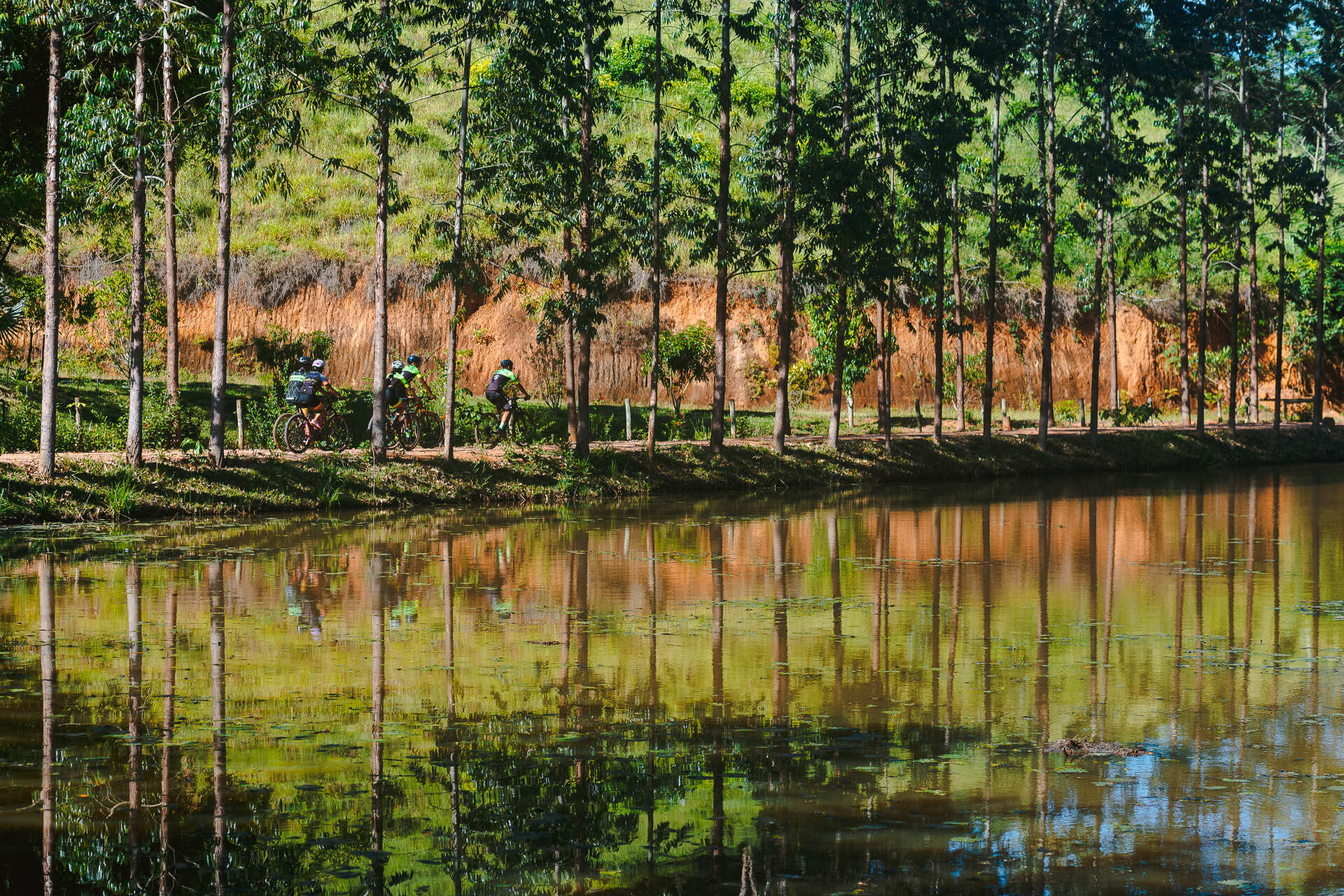 Um lago cercado por árvores com reflexo de árvores na água