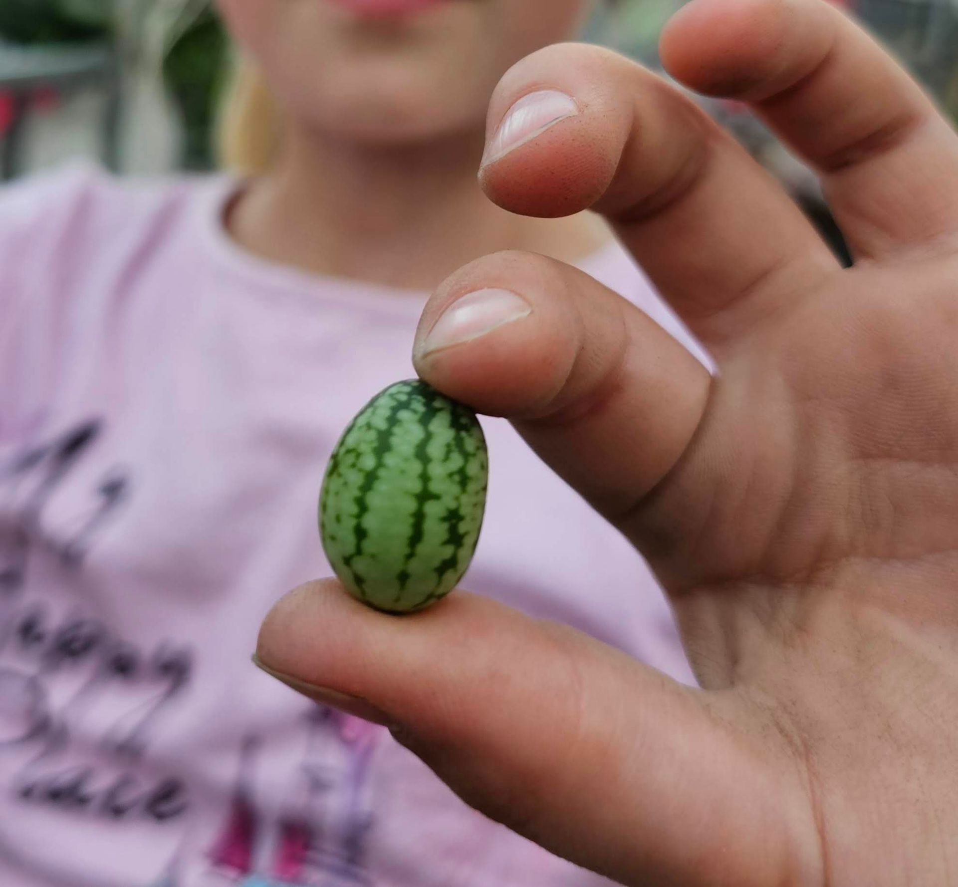 Kinderhandje dat een klein, gestreept, komkommerachtig vruchtje vasthoudt.