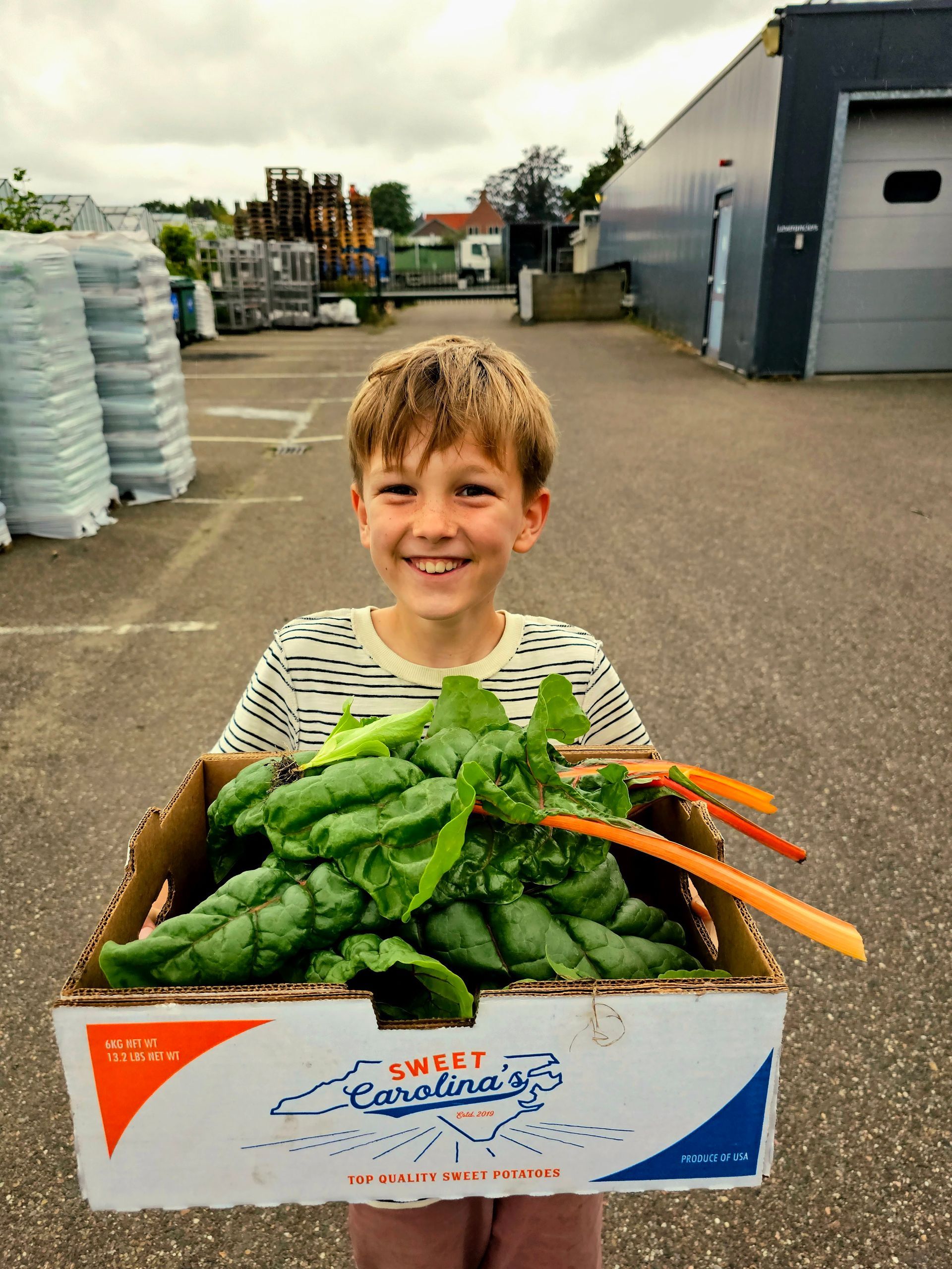 Jongen met een doos verse snijbiet in zijn handen, lachend buiten.