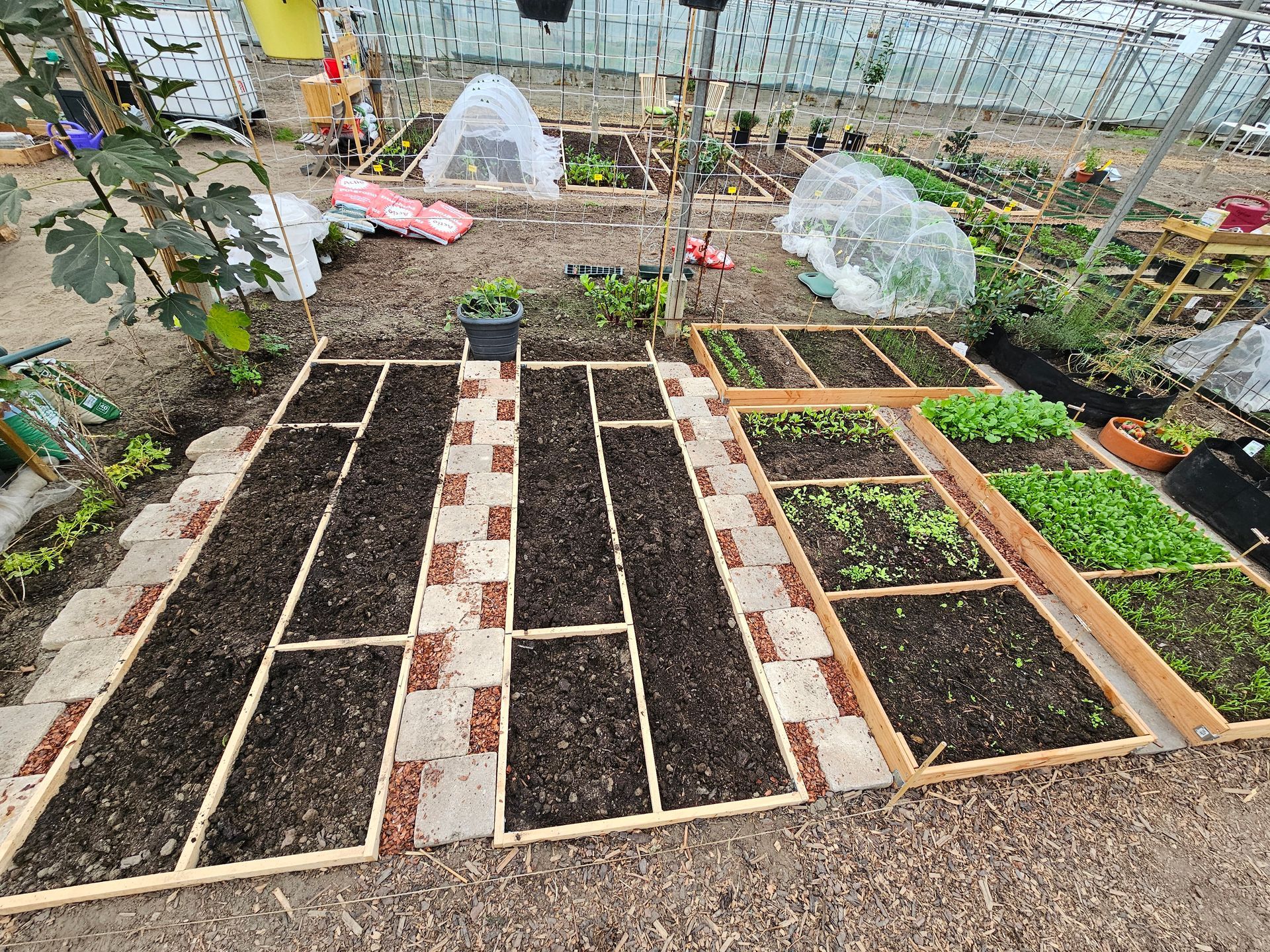 Verhoogde tuinbedden met bakstenen paden in een kas.